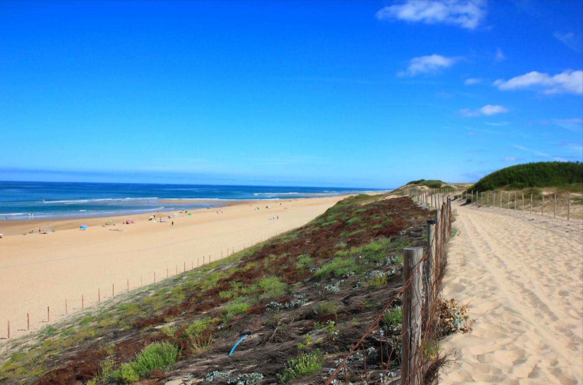 Avec Terrasse/bord De Mer/ideal Surf Seignosse