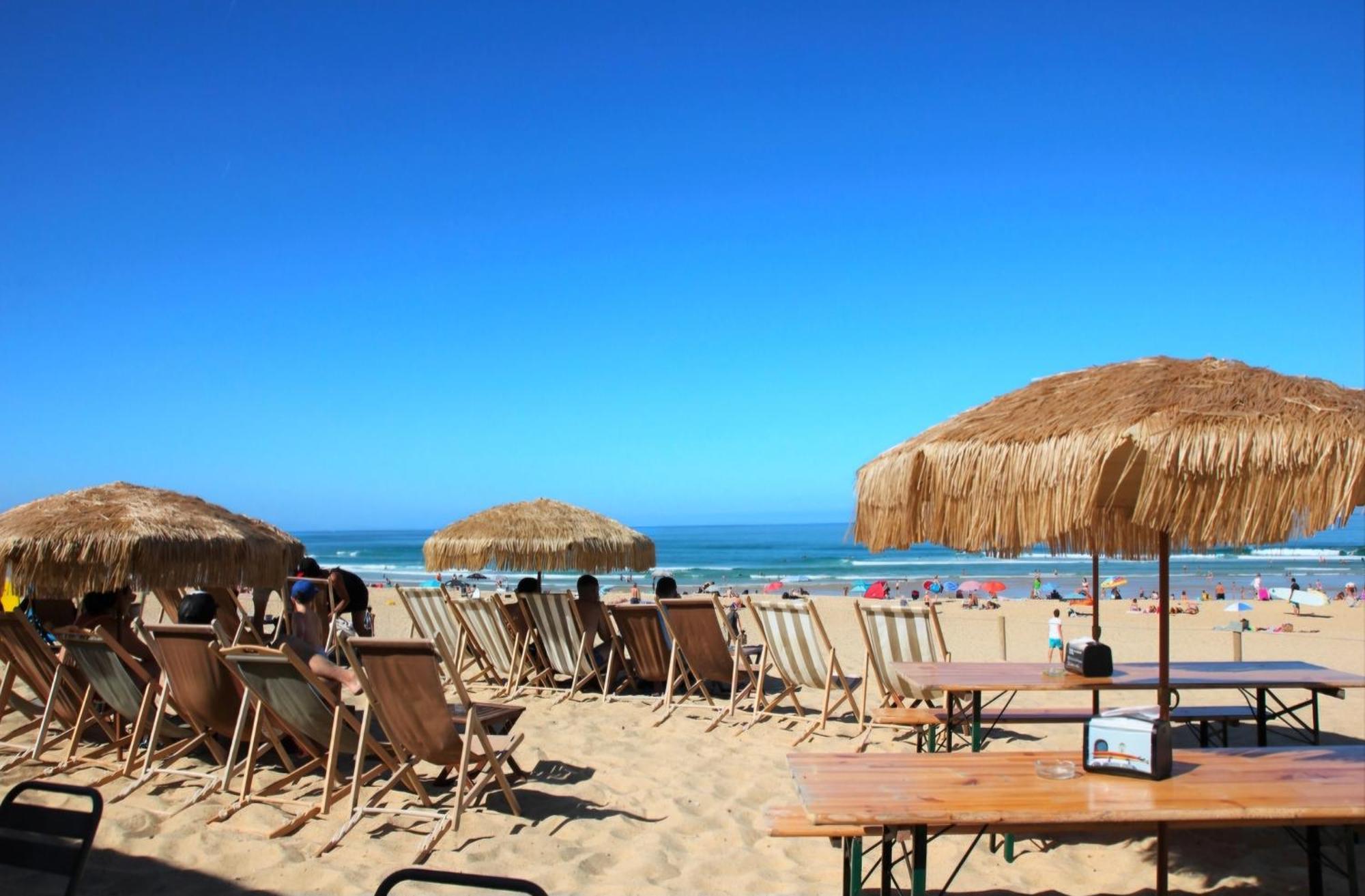 Avec Terrasse/bord De Mer/ideal Surf * Seignosse